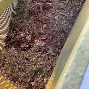 Leaf Removal by Js Lawn Care reviewed on December 3, 2024