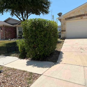 Bush Trimming by Top Gun Cleaners reviewed on November 1, 2024