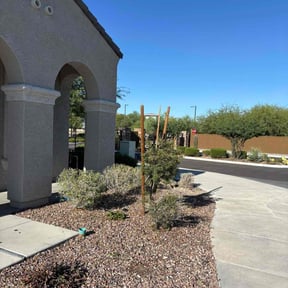 Bush Trimming by Rodriguez Lawn Care LLC reviewed on April 5, 2023