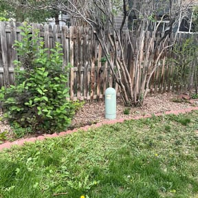 Cleanups by phillips landscaping LLC reviewed on April 26, 2023