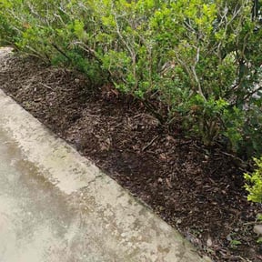 Landscaping by Jeffery Hartupee reviewed on August 2, 2022