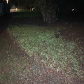 Leaf Removal by Christopher MowPro reviewed on June 18, 2025