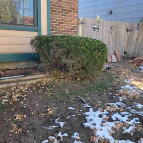 Bush Trimming by TruGreen LawnCare reviewed on July 2, 2025