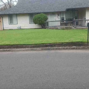 Weeding by John Taylor reviewed on June 7, 2022