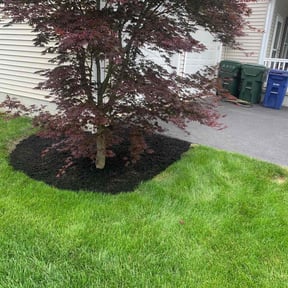 Mulching by Kingdom Creations reviewed on April 7, 2025