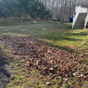 Leaf Removal by Small Time Yard Cutz L.L.C. reviewed on May 11, 2025