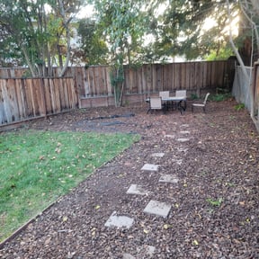 Leaf Removal by Pineda landscaping reviewed on June 13, 2022