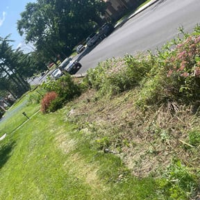 Flower Bed Weeding by kumler lawn care reviewed on August 14, 2020