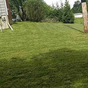 Mulching by MJ'S Lawn service reviewed on September 15, 2024