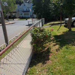 Bush Trimming by Nextdoor Lawn Services LLC reviewed on March 30, 2022