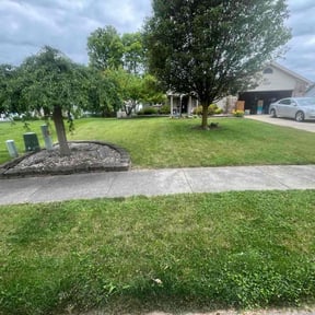 Bush Trimming by Stephens Lawn Care reviewed on July 13, 2022