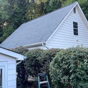 Bush Trimming by OPN Lawn Care reviewed on July 28, 2025