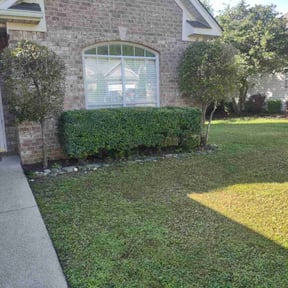 Bush Trimming by Green machine landscaping reviewed on May 14, 2022