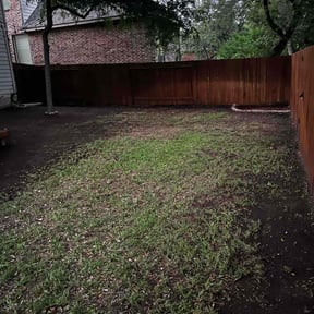 Leaf Removal by Top Gun Cleaners reviewed on October 8, 2024