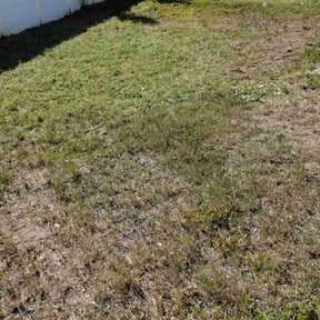 Cleanups by GREENART LAWN CARE reviewed on November 17, 2021
