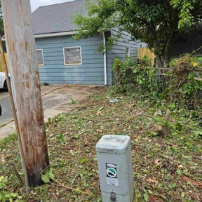 Weeding by River City Lawn Service reviewed on July 23, 2022