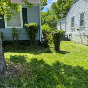 Bush Trimming by Peaks Property Maintenance reviewed on July 28, 2022