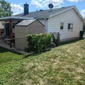 Bush Trimming by Green line reviewed on June 5, 2025