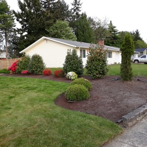 Flower Bed Weeding by Christopher MowPro reviewed on June 18, 2025