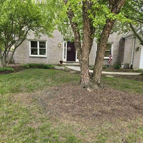 Cleanups by LD Brown Landscaping And Pressure Washing reviewed on May 4, 2022