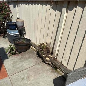 Bush Trimming by Forever Green FG LLC reviewed on August 13, 2024