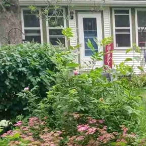 Bush Trimming by Lawncare Recovery and landscape LLC reviewed on July 13, 2022