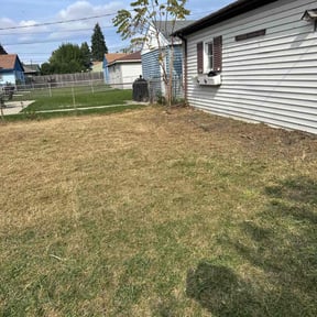 Leaf Removal by Alo's lawn care services LLC reviewed on May 2, 2022