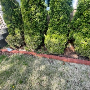 Leaf Removal by Torres Lawn Care reviewed on April 24, 2022