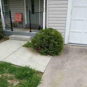 Bush Trimming by SGP Lawn Services reviewed on October 9, 2024