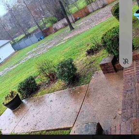 Leaf Removal by Poor Boy Grounds Management reviewed on May 31, 2022