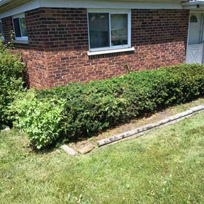 Bush Trimming by Jay R reviewed on July 23, 2025