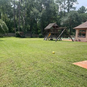 Leaf Removal by Egbert landscape reviewed on August 7, 2022