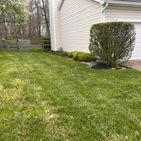 Bush Trimming by Grannies Mow&Snow llc reviewed on August 9, 2022