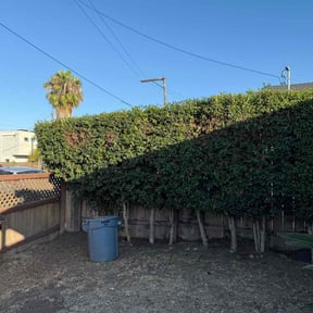 Cleanups by Flores Garden Landscapes reviewed on April 12, 2025
