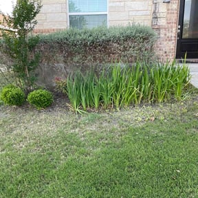 Flower Bed Weeding by Prime1cuts reviewed on May 14, 2022