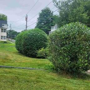 Bush Trimming by 5280 Lawn Care reviewed on May 17, 2022