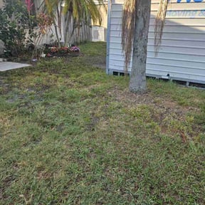 Leaf Removal by Right Lawn Care reviewed on June 6, 2022