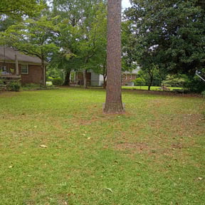 Leaf Removal by Burton Lawn Care reviewed on April 26, 2022