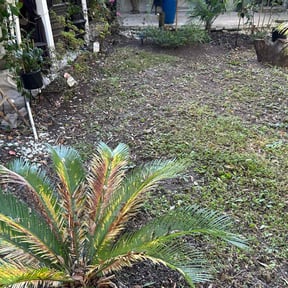 Flower Bed Weeding by Zink Services reviewed on July 18, 2022