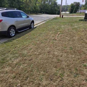 Weeding by Ines lawnscaping reviewed on November 4, 2021
