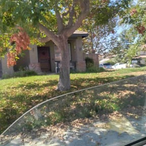 Bush Trimming by Amby's Lawn Service reviewed on June 30, 2022