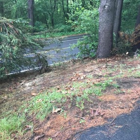 Leaf Removal by HM's Superior Landscape & Design reviewed on July 26, 2022