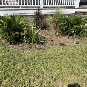Weeding by Clark on time lawn care reviewed on June 21, 2022
