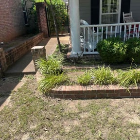 Flower Bed Weeding by Alexis perez reviewed on June 3, 2022