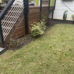 Flower Bed Weeding by ULO KNW CLEAN CLEANING SERVICE LLC. reviewed on September 12, 2024