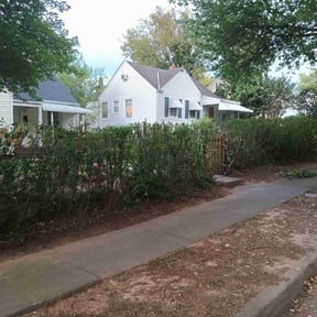 Bush Trimming by Precision Lawn Experts reviewed on March 10, 2025