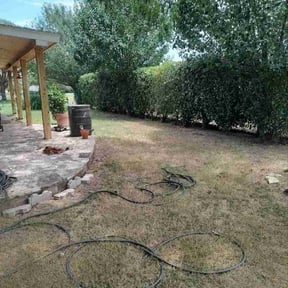 Bush Trimming by G-Man’s Lawn Service reviewed on November 23, 2021