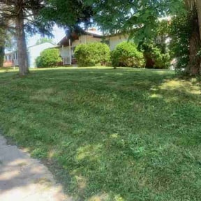 Bush Trimming by Nates Lawn Service reviewed on July 6, 2022