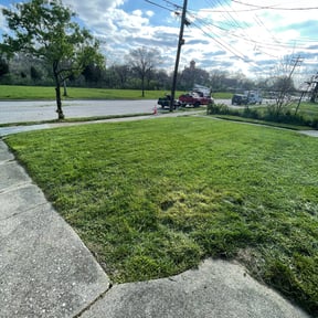 Cleanups by Signature Lawn Care LLC. reviewed on June 12, 2022