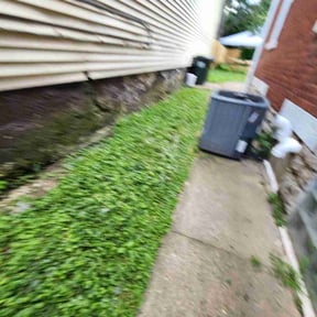 Flower Bed Weeding by Richard Kidman reviewed on June 2, 2022